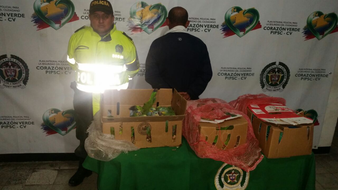 protegemos_derecho_animal capturado_por_transportar_aves