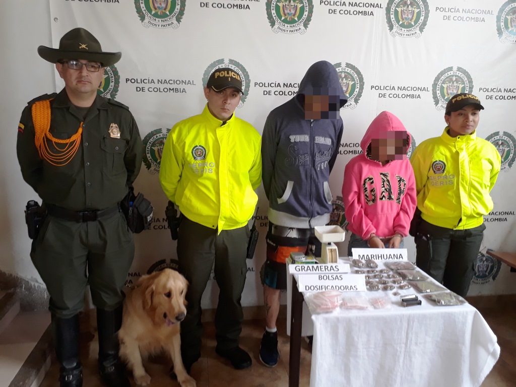 la droga incautada estaba lista para ser comercializada  dos capturados mediante allanamientos en Santa Rosa de Cabal