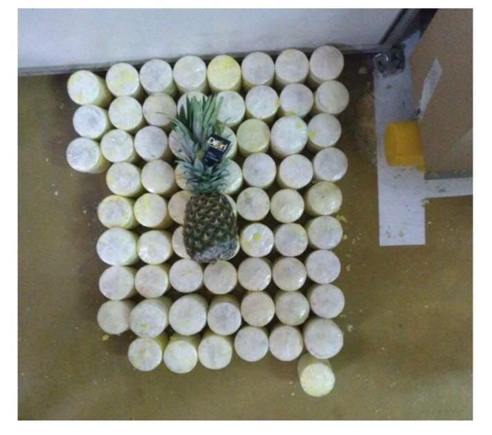 Capturamos-a-la-“Pibe” Capturamos-a-la-“Pibe”