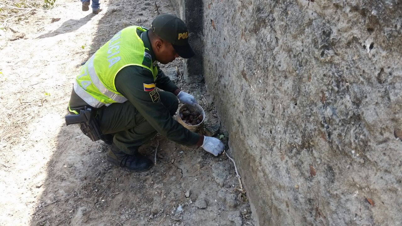 1.200 Caracoles africanos fueron hallados en el centro de la ciudad  El caracol africano es portador de graves enfermedades
