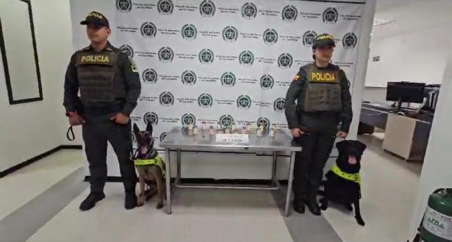 cocaína fue detectada por chiki cocaína fue detectada por chiki