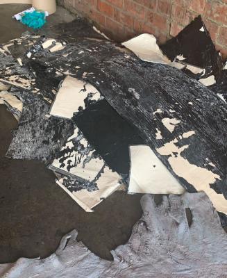 Frustramos el envío de una tonelada de cocaína que iban dentro de pieles de bovinos con destino al país de Bulgaria Cocaína camuflada