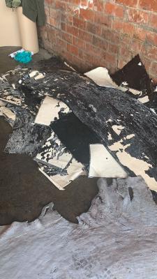 Frustramos el envío de una tonelada de cocaína que iban dentro de pieles de bovinos con destino al país de Bulgaria Cocaína camuflada