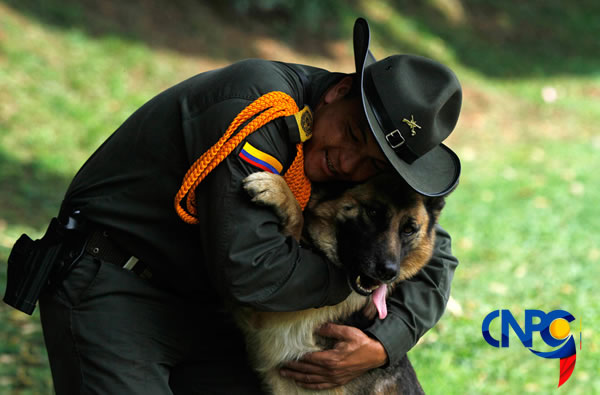 codigo-policia-colombia-mascotas