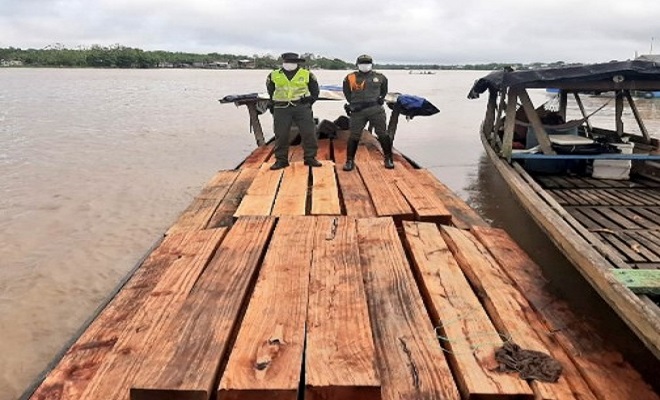 Continuamos los controles para frenar la tala de árboles y el tráfico ilegal de madera Continuamos los controles para frenar la tala de árboles y el tráfico ilegal de madera