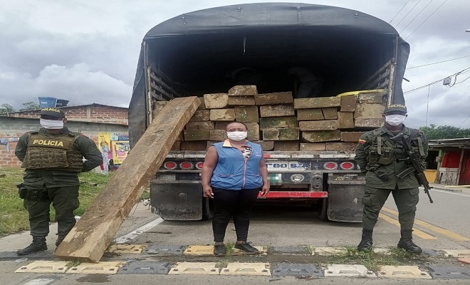 Continuamos los controles para frenar la tala de árboles y el tráfico ilegal de madera Continuamos los controles para frenar la tala de árboles y el tráfico ilegal de madera