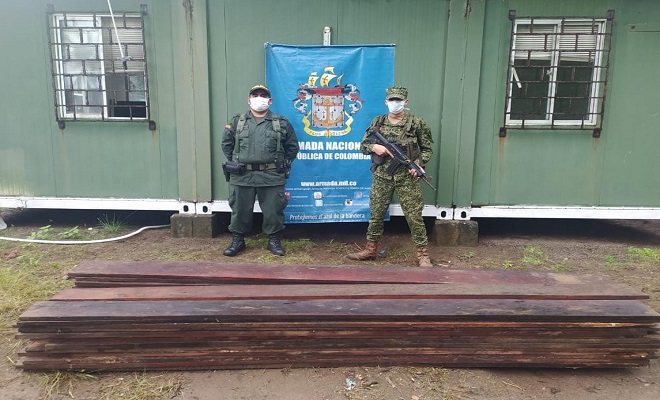 Continuamos los controles para frenar la tala de árboles y el tráfico ilegal de madera Continuamos los controles para frenar la tala de árboles y el tráfico ilegal de madera