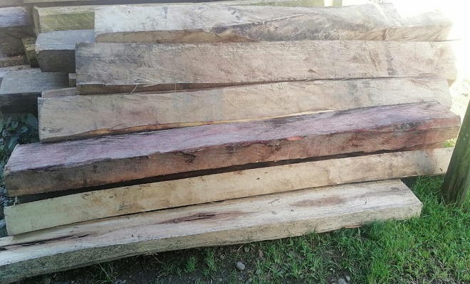 Continuamos operativos contra el tráfico ilegal de madera Continuamos operativos contra el tráfico ilegal de madera