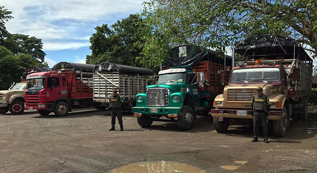 La Policía Nacional-se incauta de 161 semovientes-de dudosa procedencia-en el Meta