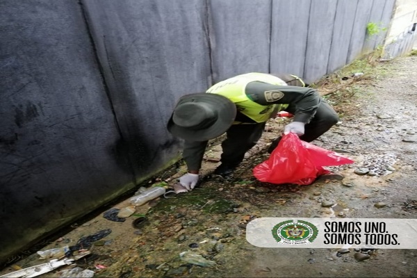 controlados caracoles africanos quibdó controlados-caracoles-africanos-quibdo