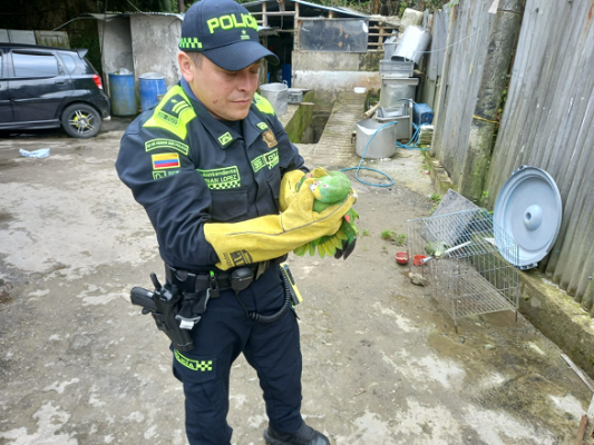 Controles contra el tráfico de fauna 