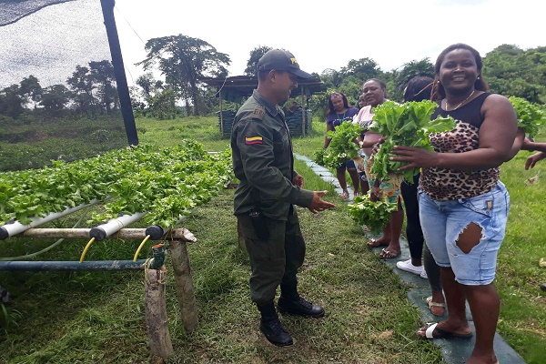 Con nueva técnica de cultivo la Policía Nacional aporta a la alimentación de la comunidad de Paimadó Con-nueva-técnica-de-cultivo-la-Policía-Nacional-aporta-a-la-alimentación-de-la-comunidad-de-Paimadó