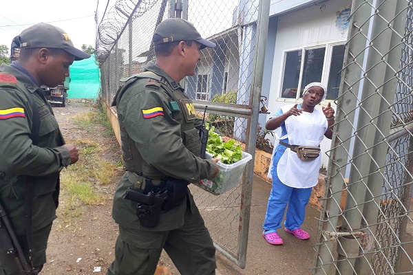 Con nueva técnica de cultivo la Policía Nacional aporta a la alimentación de la comunidad de Paimadó Con-nueva-técnica-de-cultivo-la-Policía-Nacional-aporta-a-la-alimentación-de-la-comunidad-de-Paimadó