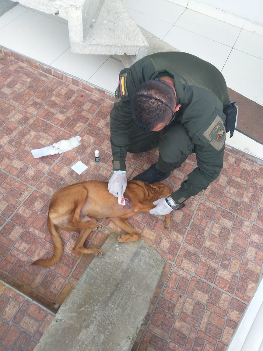 Curación_de Mateo Curación_de Mateo
