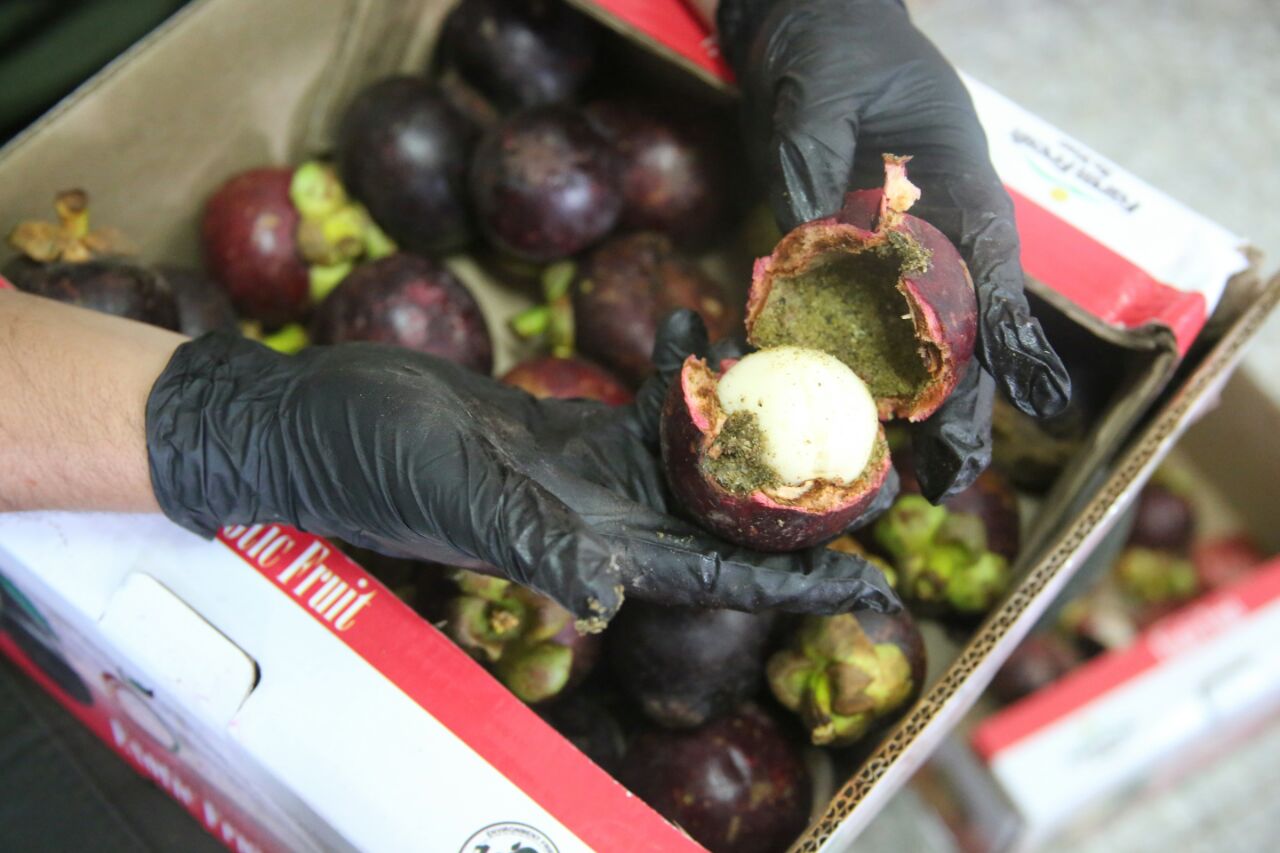 Dentro-de-frutas-exóticas-enviaban-cocaína-diluida-a-Hong-Kong Dentro-de-frutas-exóticas-enviaban-cocaína-diluida-a-Hong-Kong