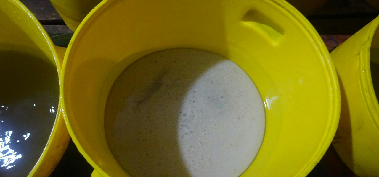 Destruido-gigantesco-laboratorio-para-la-producción-de-clorhidrato-de-cocaína-en-el-departamento-del-Meta Destruido-gigantesco-laboratorio-para-la-producción-de-clorhidrato-de-cocaína-en-el-departamento-del-Meta