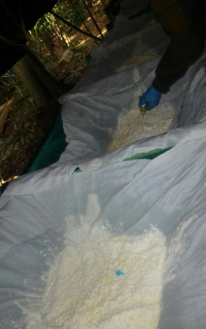 Destruido-gigantesco-laboratorio-para-la-producción-de-clorhidrato-de-cocaína-en-el-departamento-del-Meta Destruido-gigantesco-laboratorio-para-la-producción-de-clorhidrato-de-cocaína-en-el-departamento-del-Meta