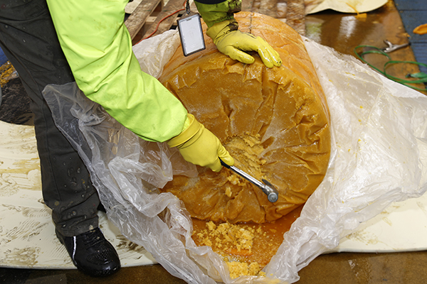 En Bogotá incautamos más de media tonelada de cocaína camuflada en pulpa de fruta En Bogotá incautamos más de media tonelada de cocaína camuflada en pulpa de fruta