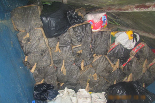 Continúa lucha frontal contra el tráfico de estupefacientes Continúa lucha frontal contra el tráfico de estupefacientes