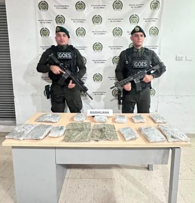 dos policías al lado de una marihuana incautada