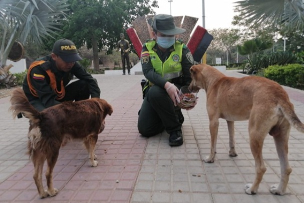 El-área-de-educación-ambiental-rinde-cuentas-de-su-gestión-durante-el-2020