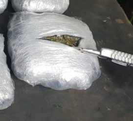 En-CPU-hallamos-marihuana En-CPU-hallamos-marihuana