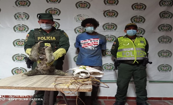 En el departamento del Chocó protegemos los animales En el departamento del Chocó protegemos los animales