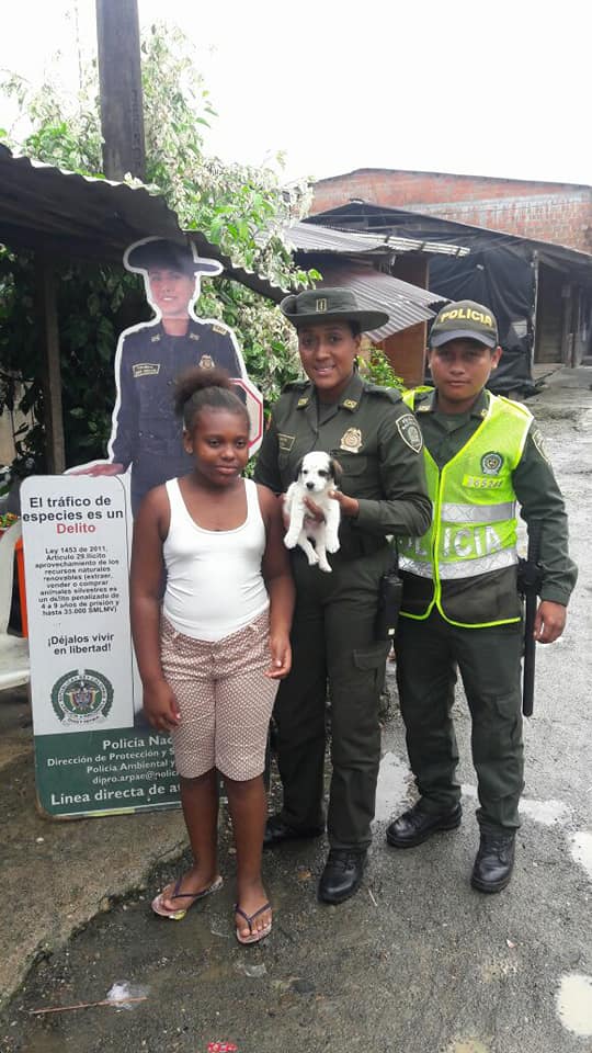 En la Capital del Chocó realizamos Jornada de Protección Animal En-la-Capital-del-Chocó-realizamos-Jornada-de-Protección-Animal