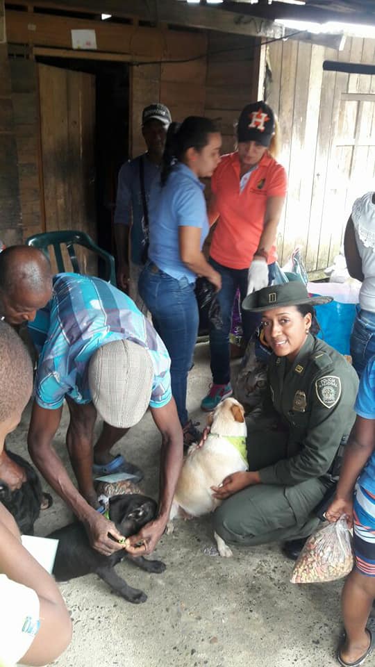 En la Capital del Chocó realizamos Jornada de Protección Animal En-la-Capital-del-Chocó-realizamos-Jornada-de-Protección-Animal