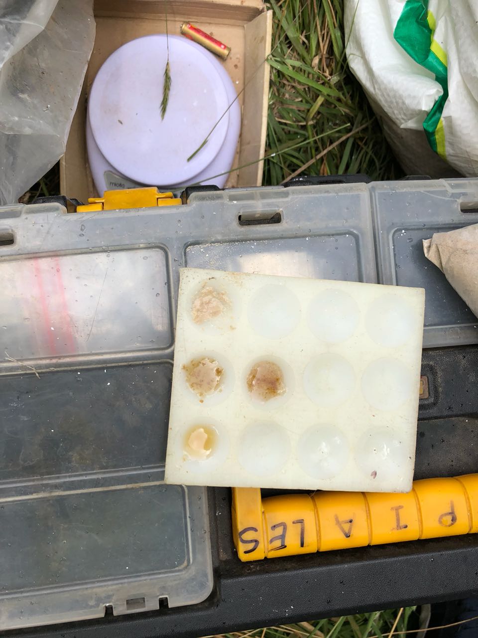 En-allanamiento-se-encontraron-1.975-gramos-de-heroína En-allanamiento-se-encontraron-1.975-gramos-de-heroína