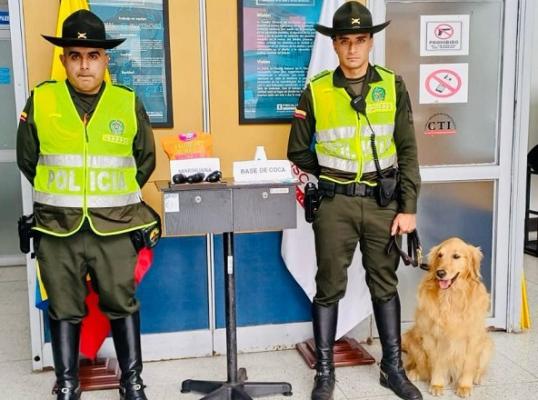 en palomitas de maíz enviaron el alijo mediante encomienda enviaron droga en palomitas de maíz