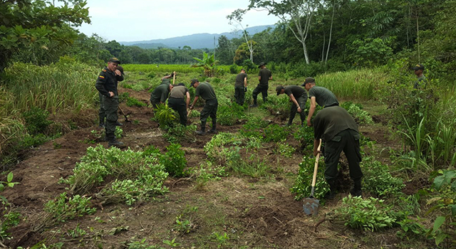 Avanza-“Plan Institucional todos contra el Narcotráfico”-Policia-Meta