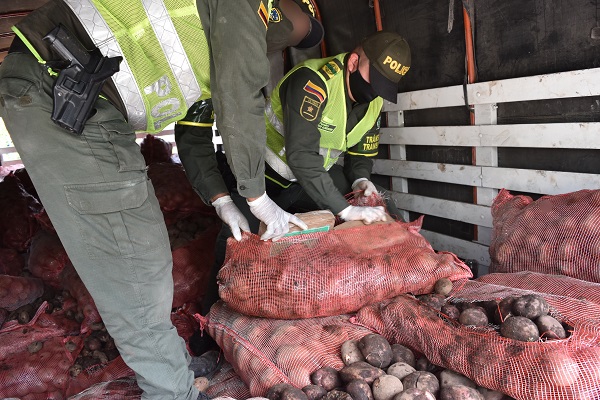 la droga iba con destino a la ciudad de Manizales  Encaletado en costales de papa fueron hallados 256 kilogramos de estupefacientes