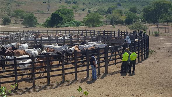 Continúan-las-investigaciones-en-el-caso-Odebrecht  Continúan-las-investigaciones-en-el-caso-Odebrecht