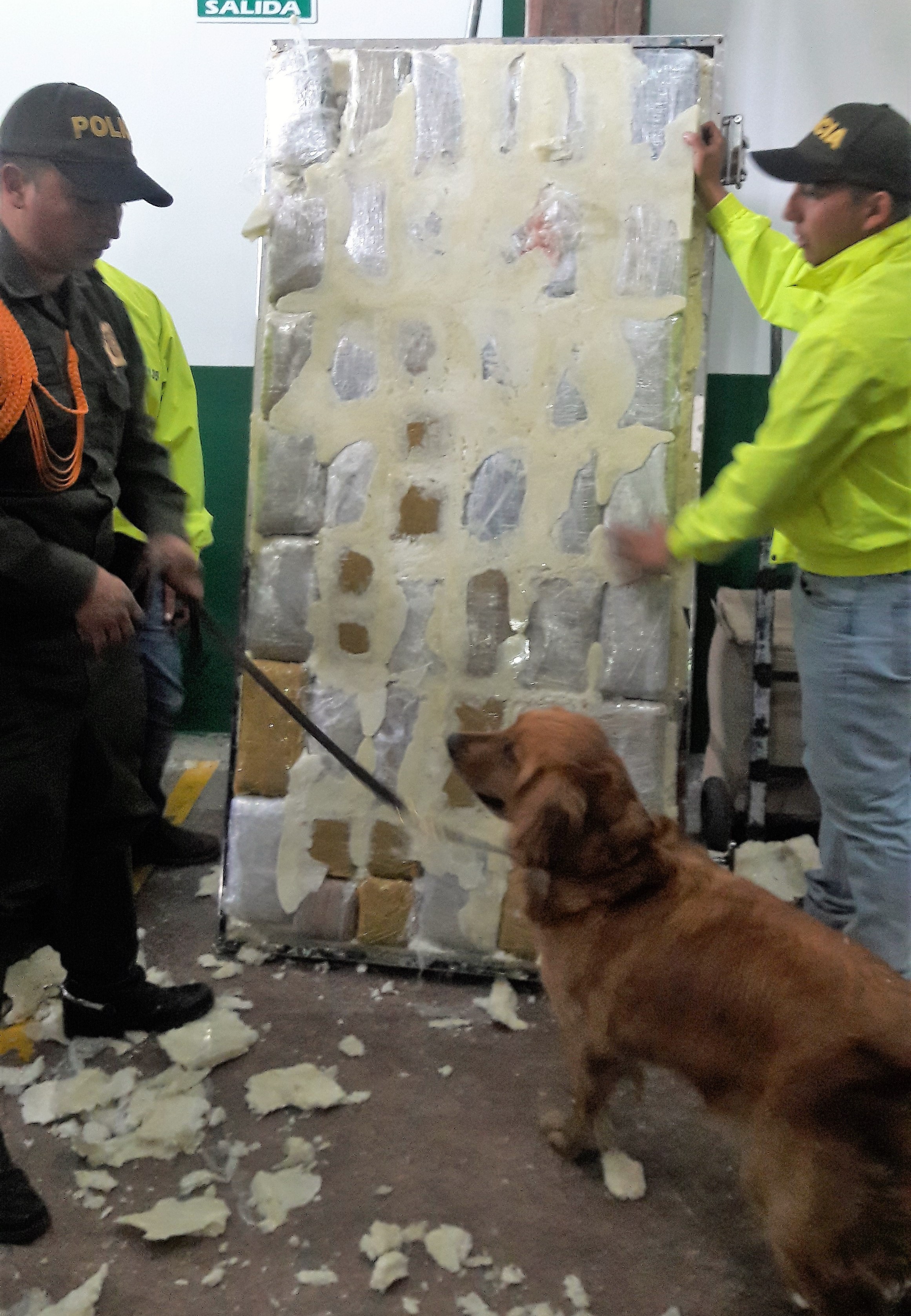 Mara, un canino de la Policía Nacional permitió la incautación de un cargamento de marihuana tipo cripy El cargamento estaba camuflado en unas puertas metálicas para cuartos fríos