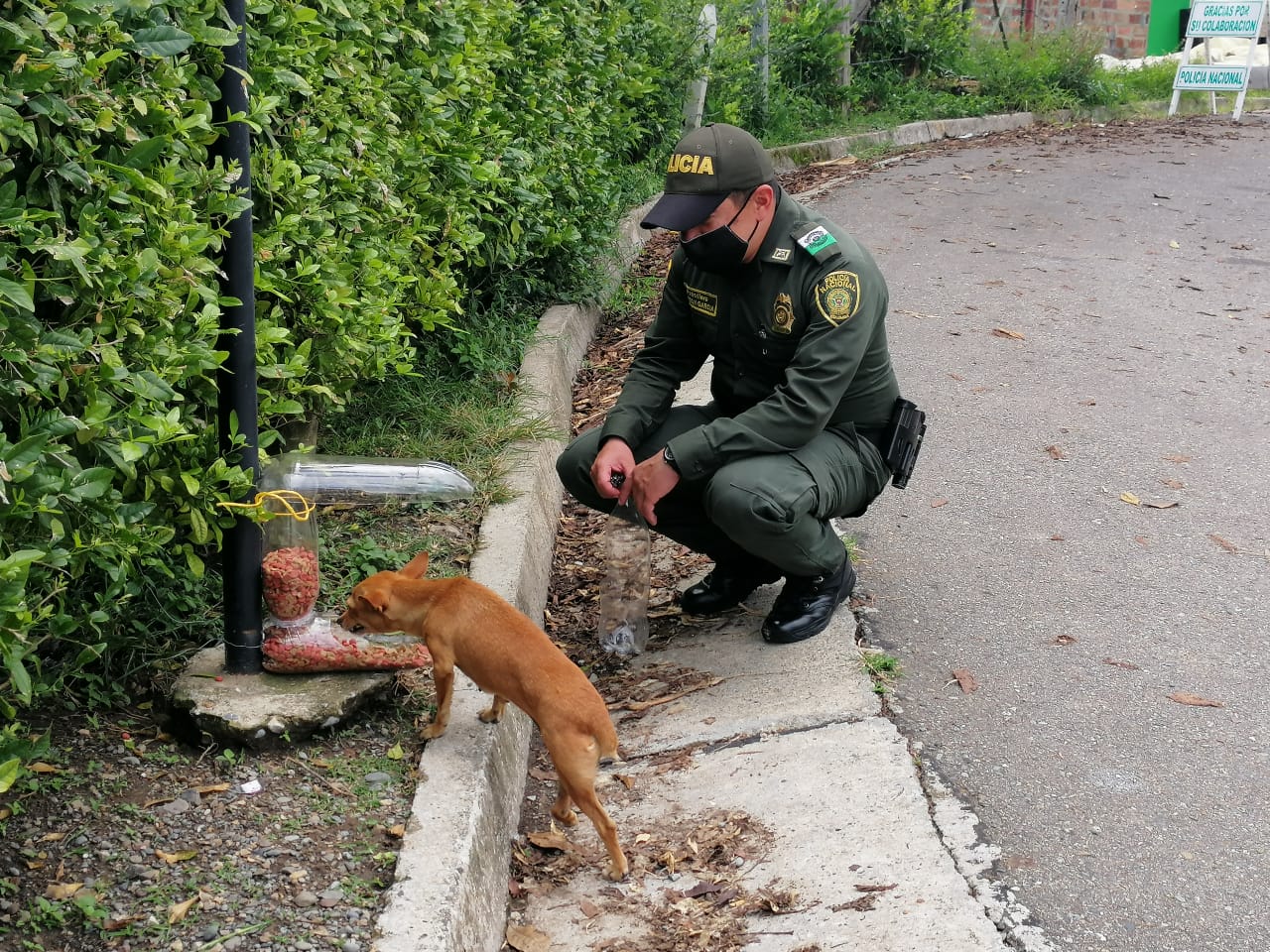 Fabricamos dispensadores artesanales de alimentos para mascotas. Fabricamos dispensadores artesanales de alimentos para mascotas.