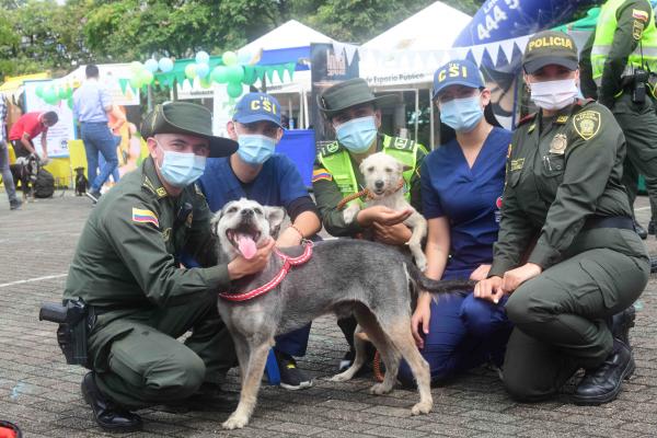 Policías en Medellín ayudan a caninos