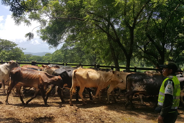 foto-en-el-marco-de-la-lucha-anticontrabando