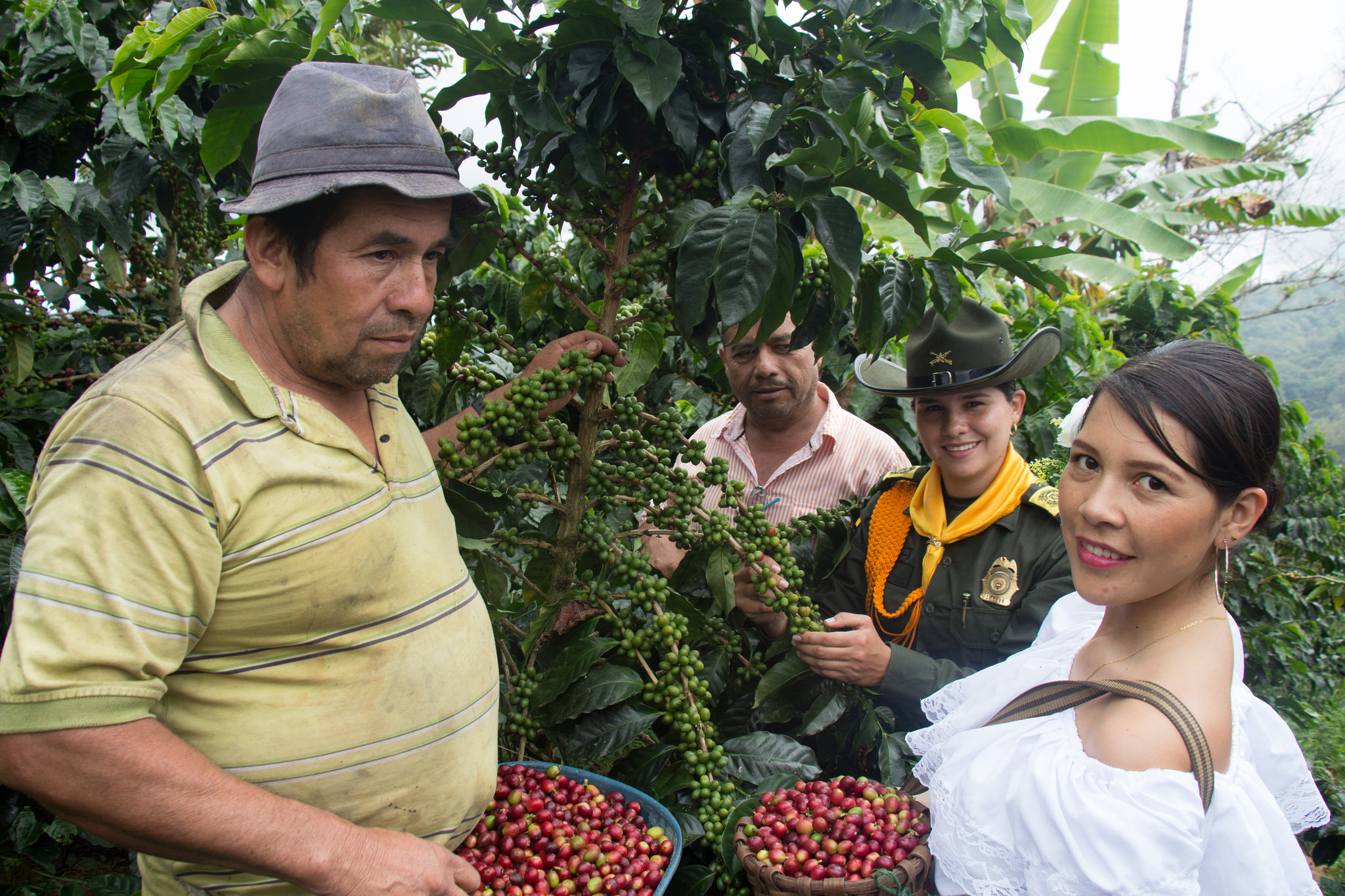 Listo dispositivo policial para garantizar la seguridad en el plan cosecha Listo dispositivo policial para garantizar la seguridad en el plan cosecha