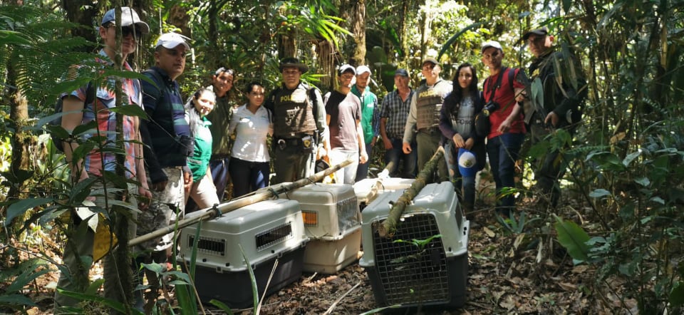 nativos de la zona ayudando en el transporte de los animales funcinarios_de_la_cam_y_policia_ambiental