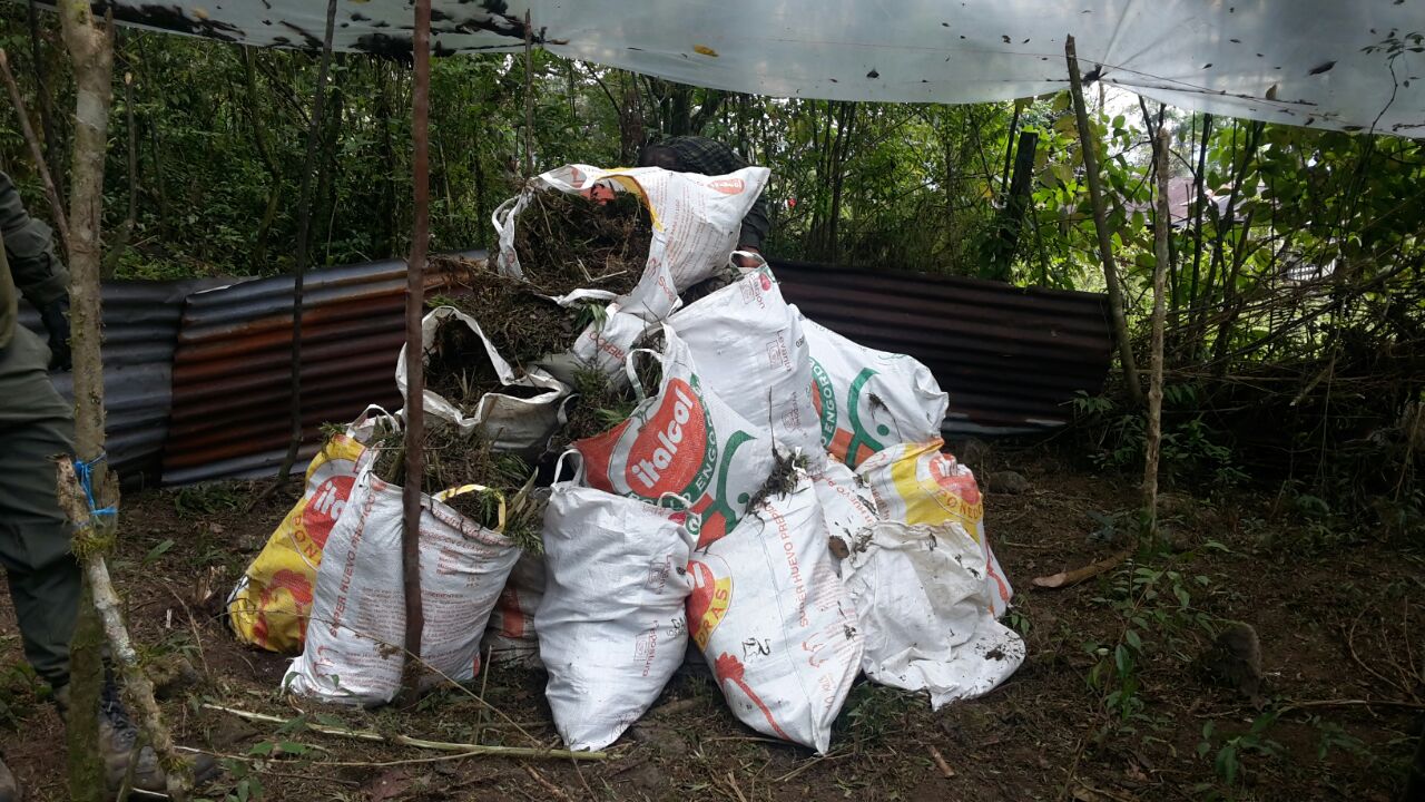 1.7 toneladas de marihuana encontradas en el lugar Golpe-al-tráfico-de-estupefacientes-en-el Departamento-del -Meta