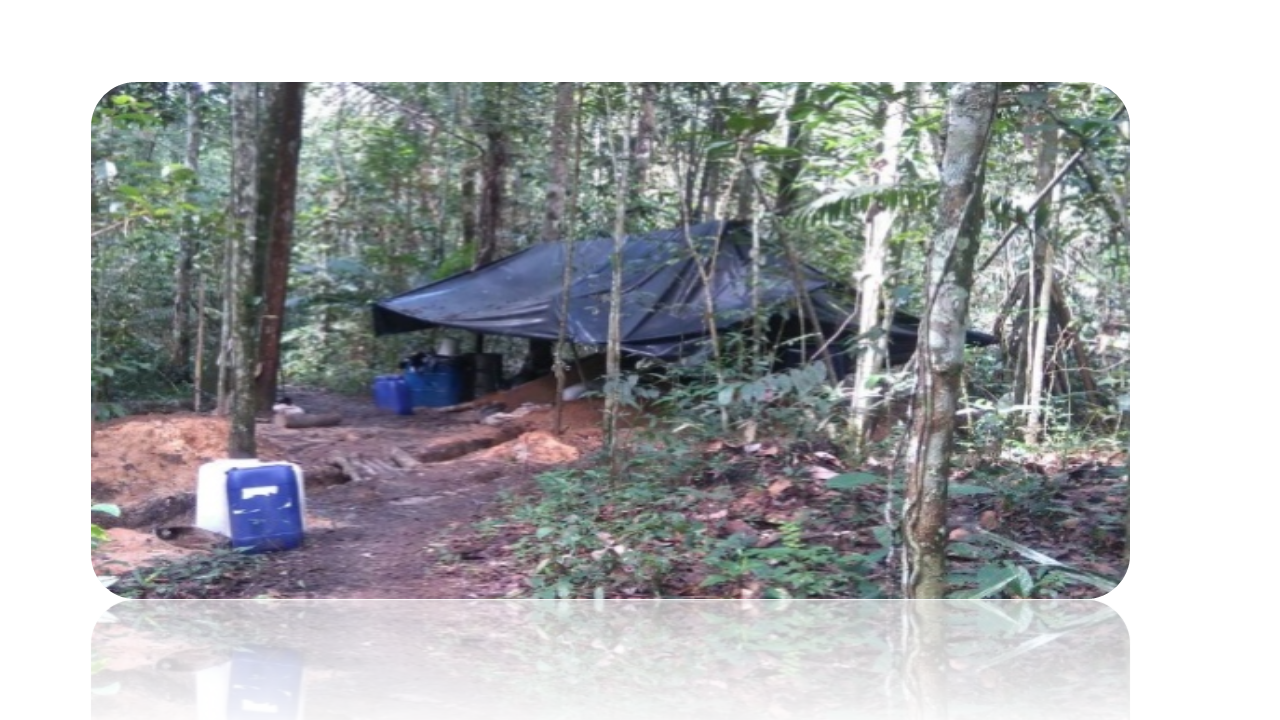 Golpe-a-la-red-del-narcotráfico-en-os-LLanos-Orientales Golpe-a-la-red-del-narcotráfico-en-os-LLanos-Orientales