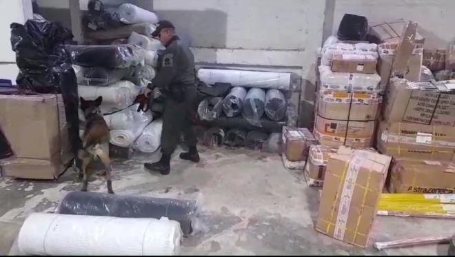 Gracias al canino Máximo, se logra la incautación del estupefaciente Gracias al canino Máximo, se logra la incautación del estupefaciente
