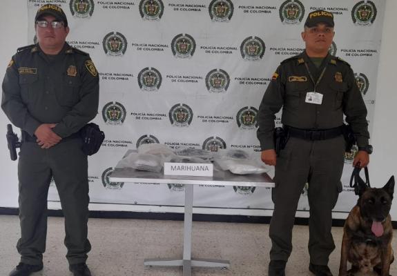 La Policía Nacional logra sacar de circulación más de 3000 gramos de marihuana al sur del Valle La Policía Nacional logra sacar de circulación más de 3000 gramos de marihuana al sur del Valle
