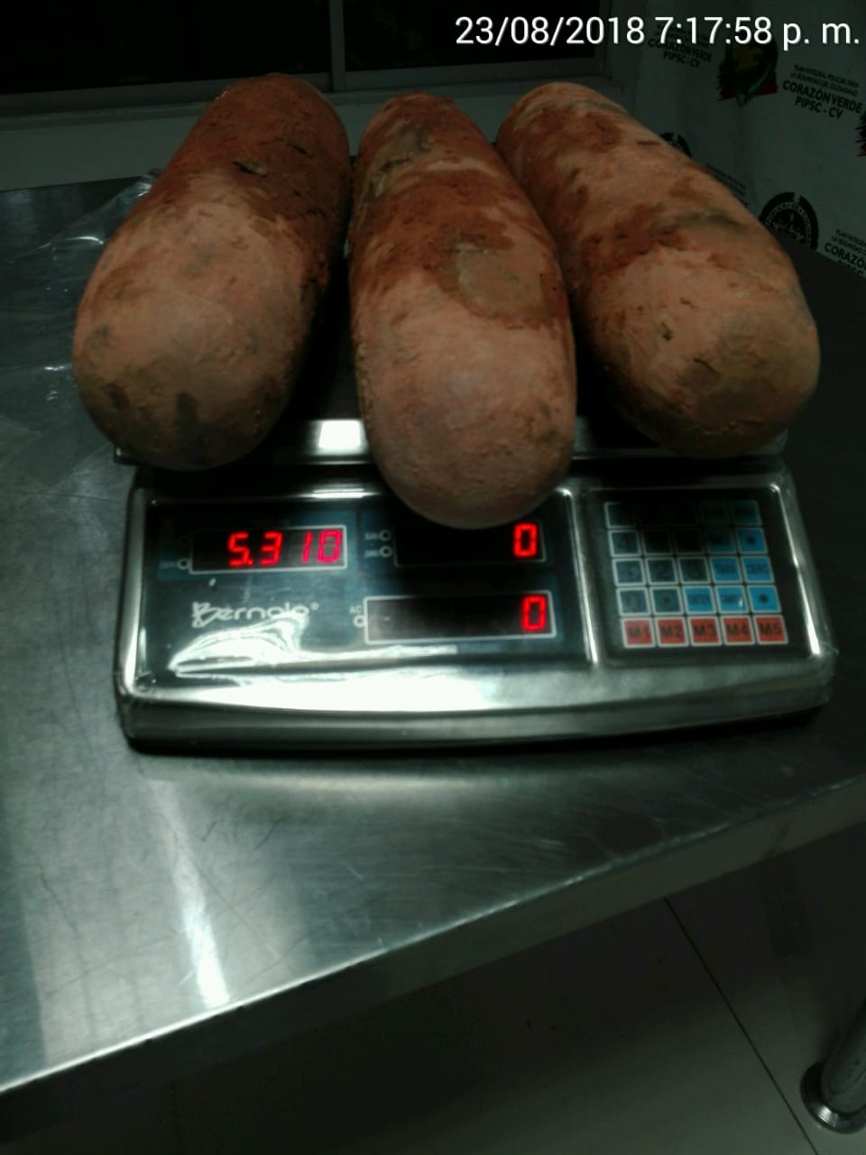 Hallamos-cocaína-en-tubérculos  Hallamos-cocaína-en-tubérculos