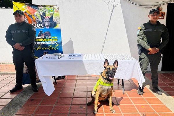 Dos polic&iacute;as junto al canino CAVA, con estupefacientes incautados