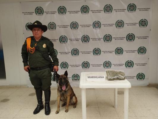 Mediante actividades de registro y control se realizo el hallazgo de 453 gramos de marihuana. Con canino experta en detección de estupefacientes logramos la incautación