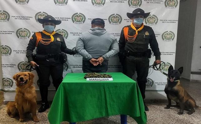 Dos hombres son capturados en Armenia con varios gramos de marihuana 1 persona capturada-policías custodiando