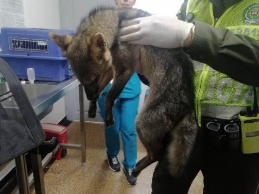 Conservación y preservación del medio ambiente Conservación y preservación del medio ambiente