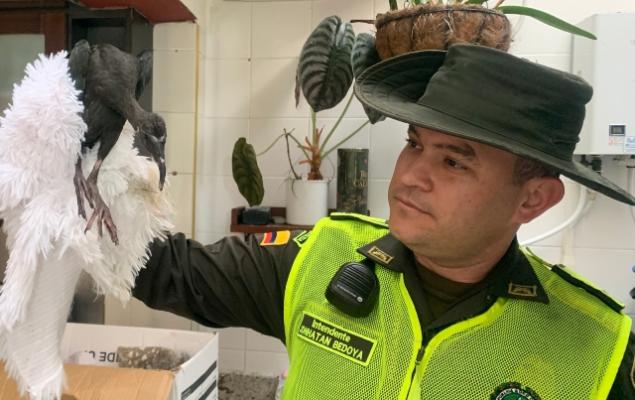Actividades en pro de la conservación Actividades en pro de la conservación